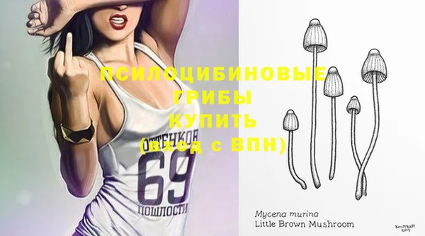 марки lsd Алексеевка