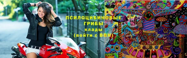 марихуана Абаза